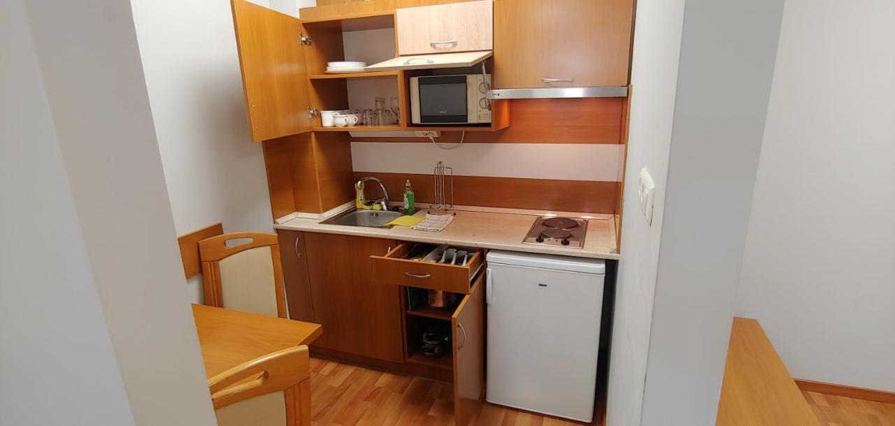 Panorama Lux Wellness Apartman Hajdúszoboszló 外观 照片